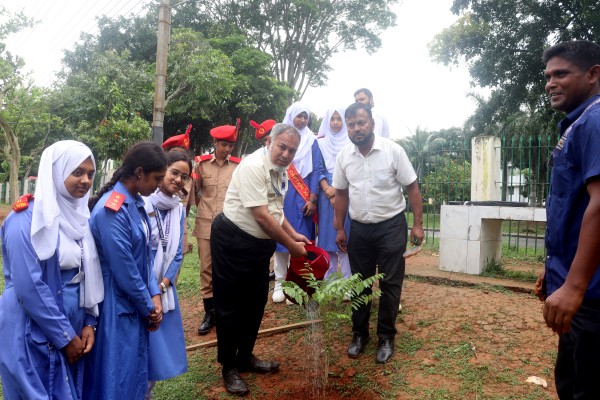 বৃক্ষরোপণ কর্মসূচি-২০২৫