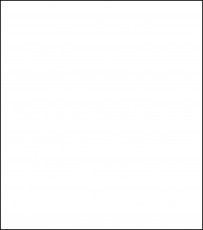 Message Chief Patron